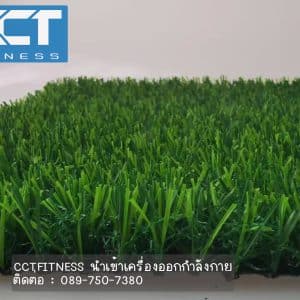 หญ้าเทียม ขนาด 20mm TRI-color 1