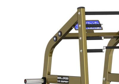 LD-2004 Belt Squat