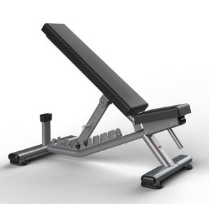 FW-1013 Adjustable Bench