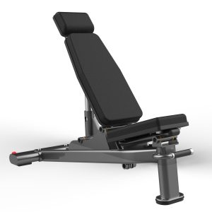 FW-1013A Adjustable Bench