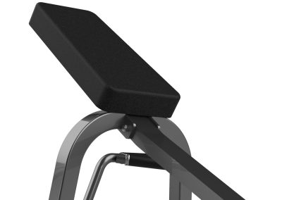 FW-2012 Lying T-bar Row