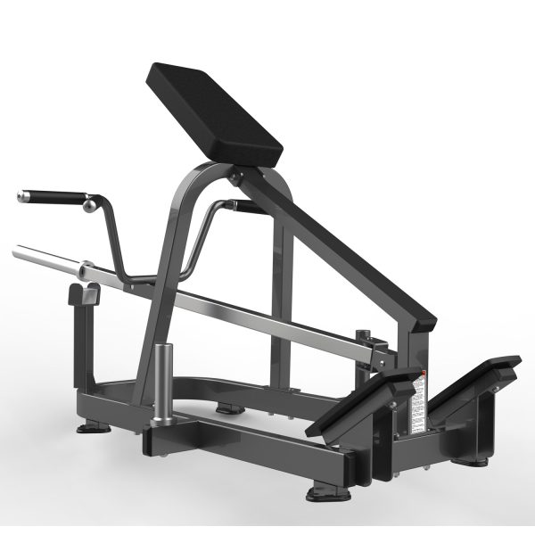 FW-2012 Lying T-bar Row